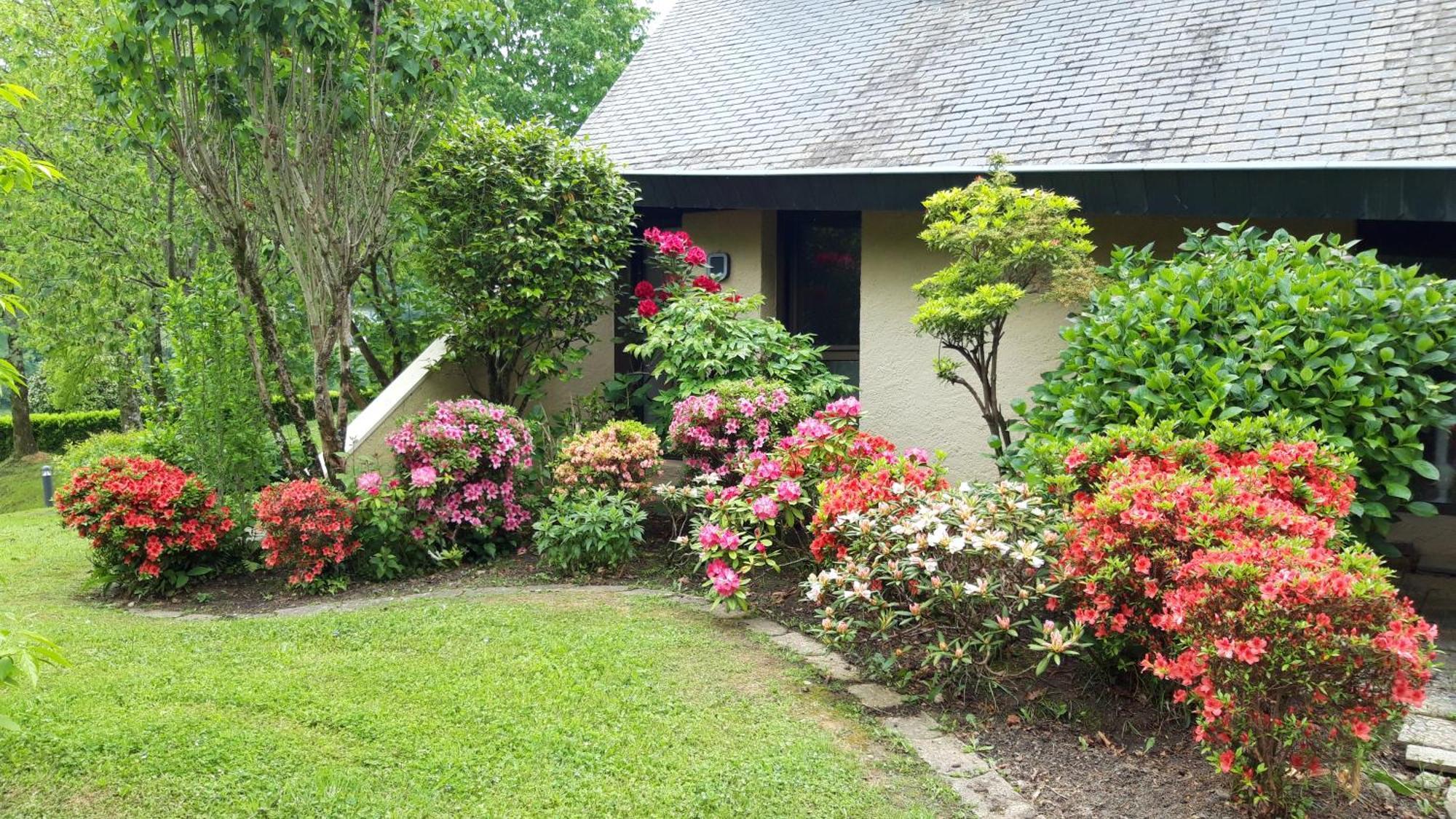 Jardin Des Chats Sévignacq-Meyracq Exterior foto